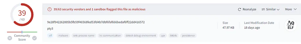 VirusTotal Scan of 'pty3' Binary File 