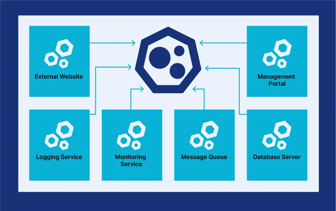 range of services connected to a cluster network