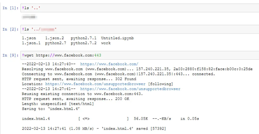 Anyone can see the files in the active directory or download files from a remote source: