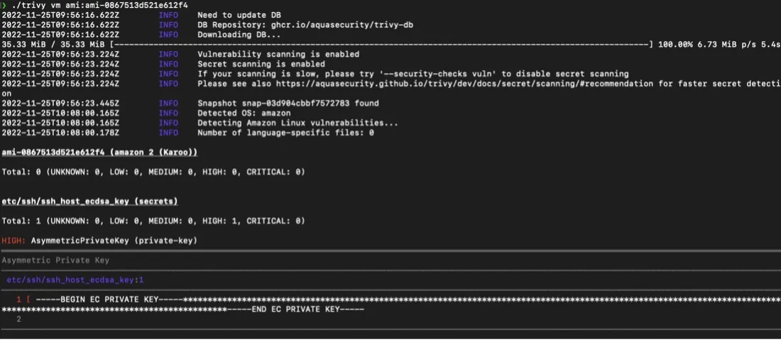 VM scan locally through the Trivy CL