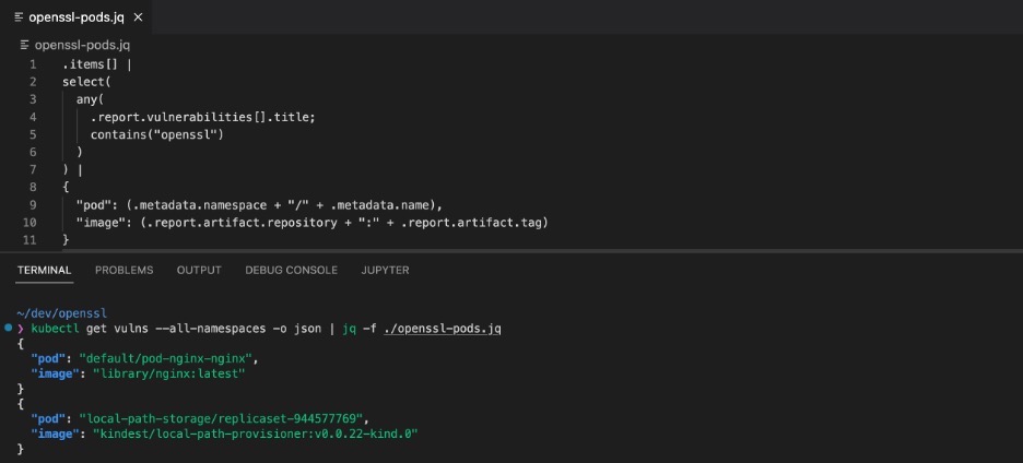 Check for OpenSSL related vulnerabilities in the generated Vulnerability Reports